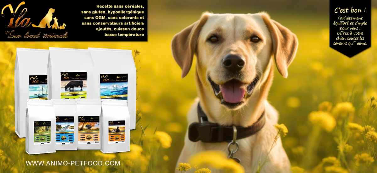 alimentation-hypoallergenique-pour-chien-sensible